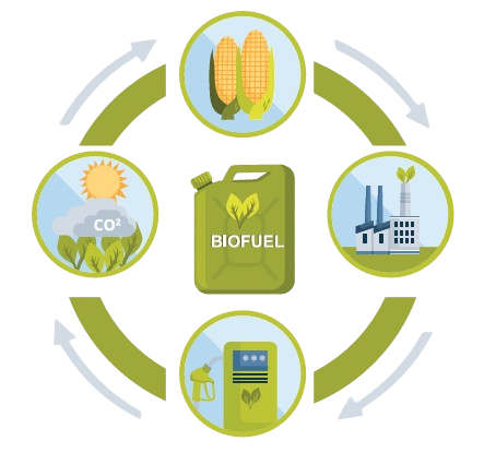 Ethanol Feedstock Sourcing
